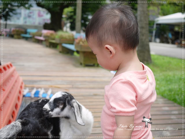 [育兒]三寶相聚好黑皮。三峽 皇后鎮森林
