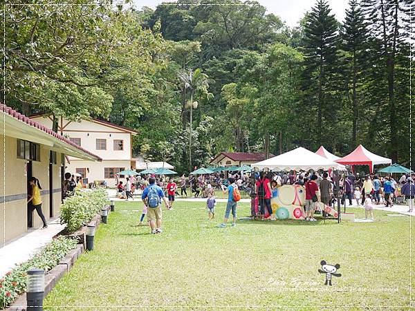 P1250506.JPG