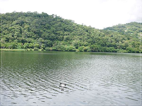 P1280081.JPG