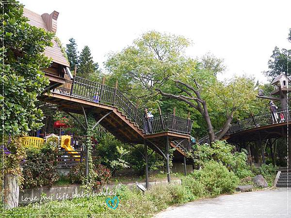 P2020404.JPG