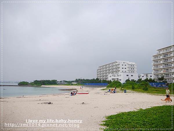 P2290207.JPG