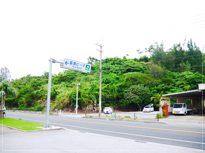 P2470730.JPG