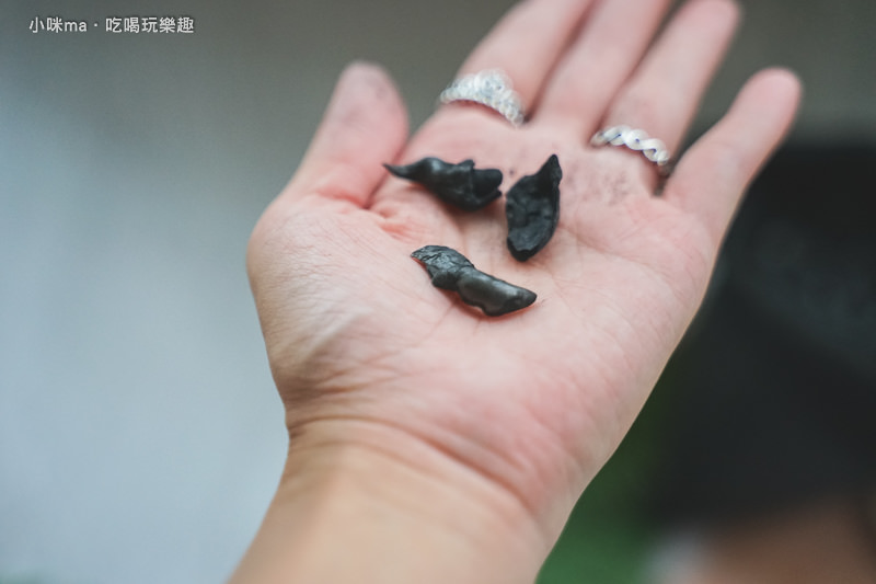 菱殼炭