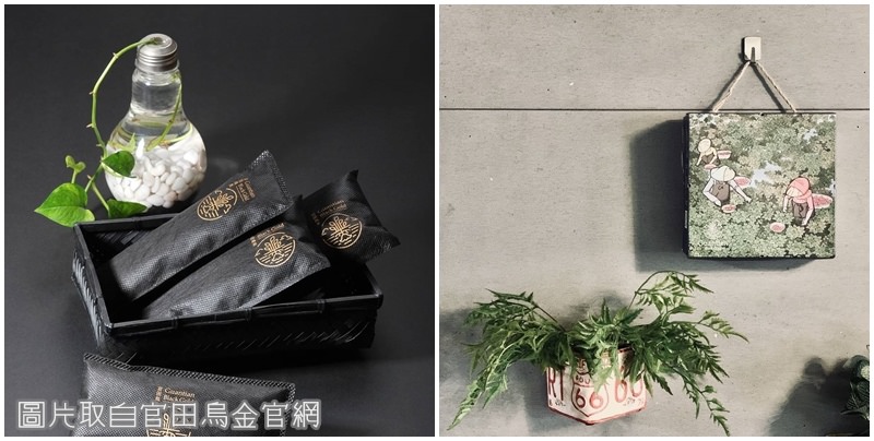 菱殼炭