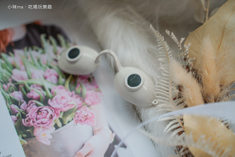 DSC07285.jpg