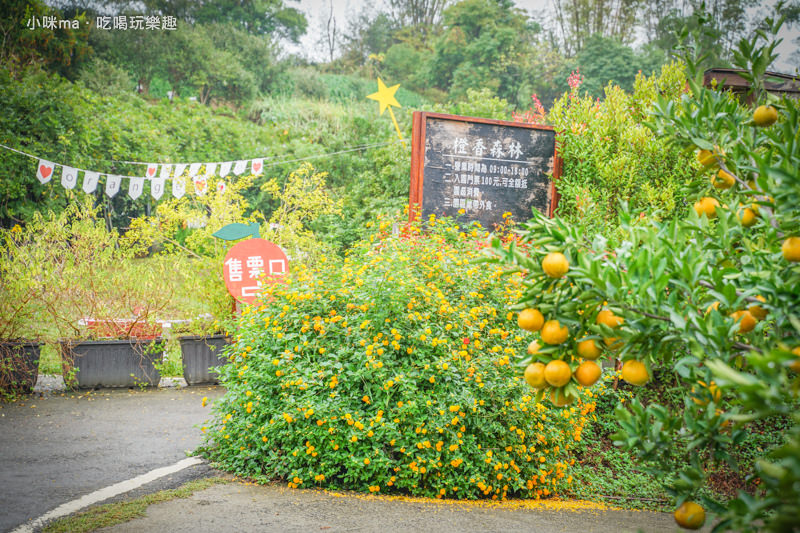 橙香森林