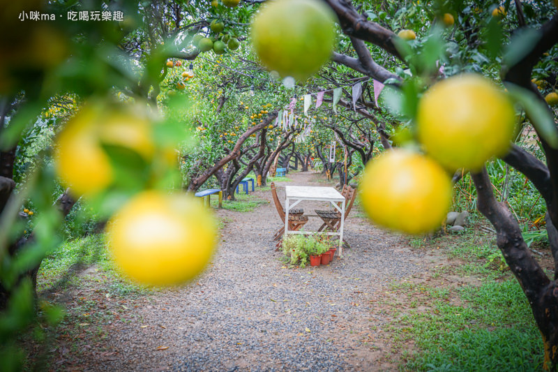 橙香森林