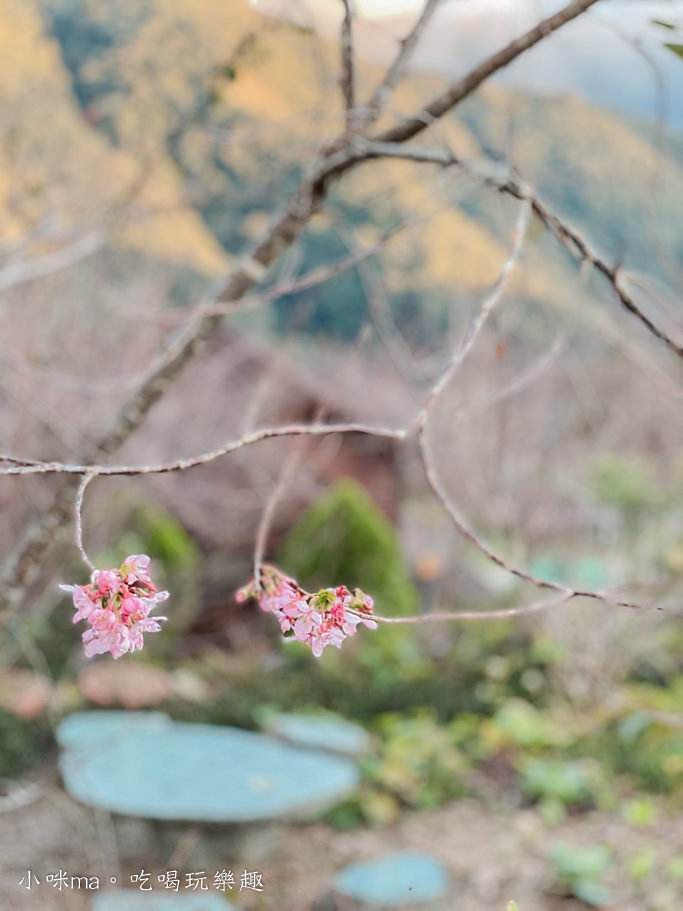 拉拉山楓墅農莊