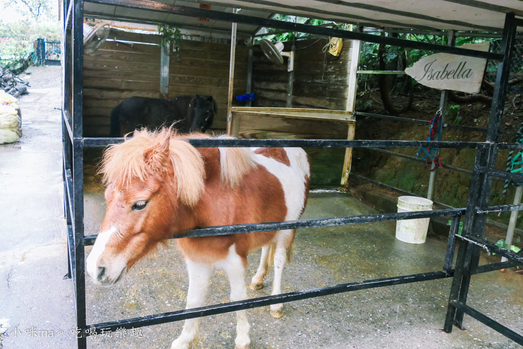 新北親子餐廳