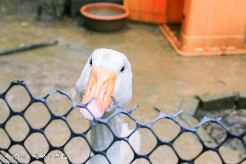 新北親子餐廳