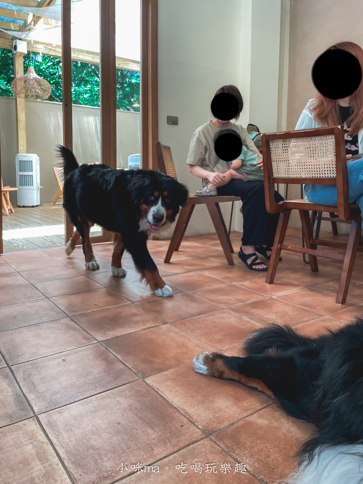 【桃園楊梅美食】野也 kissaten|藏在半山腰奶茶色系老宅咖啡廳、三隻巨型犬陪你喝咖啡,美到像在國外度假 - 第10張圖