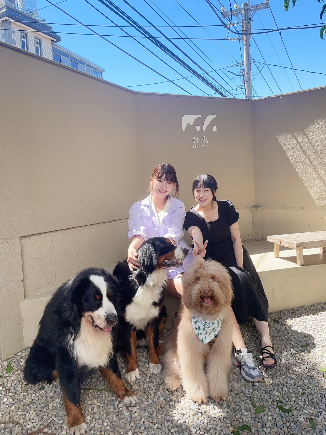 【桃園楊梅美食】野也 kissaten|藏在半山腰奶茶色系老宅咖啡廳、三隻巨型犬陪你喝咖啡,美到像在國外度假 - 第26張圖